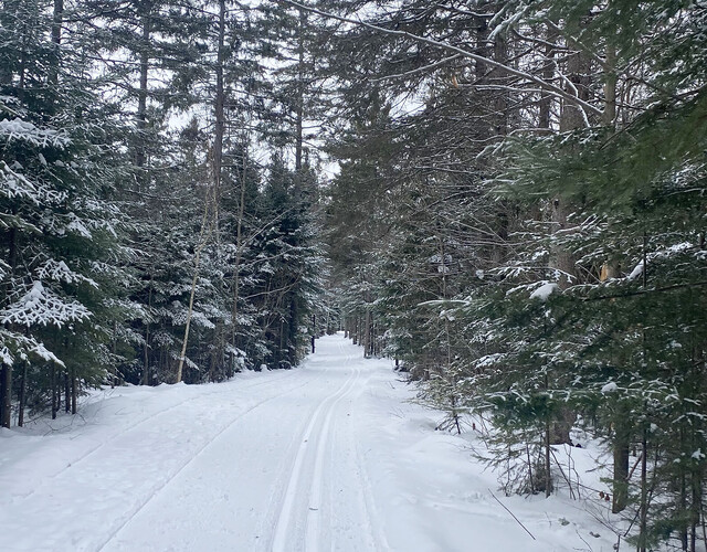 Domaine de Gaspé: Un éden hivernal pour les amoureux de la nature